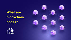 Xem 