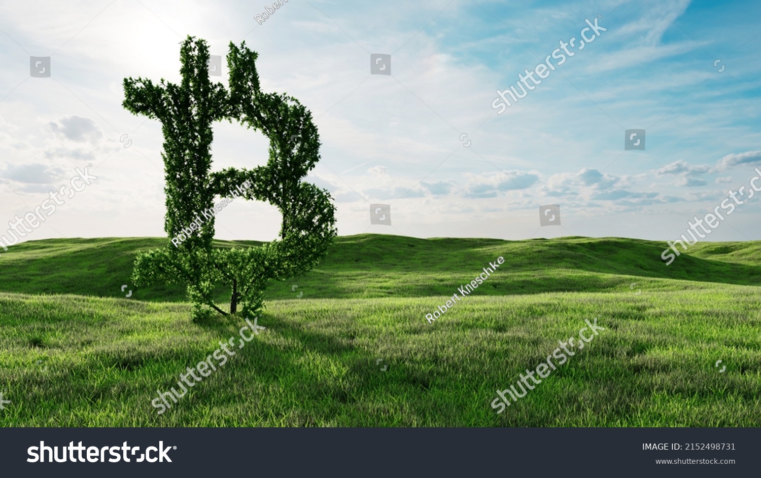 nữ t