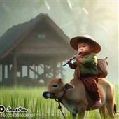Luật