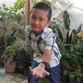 Giải