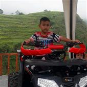 GẤU