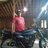 Cham