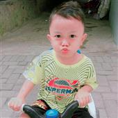 Bài 