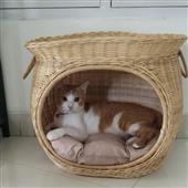 Nhà 