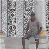 Gấu 