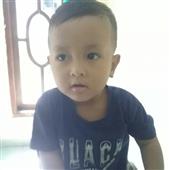 Dự 