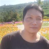 Soi 