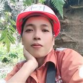 Avat