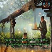 Dập