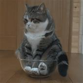 Giải