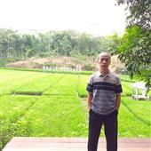 Cước