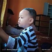 Cừu 