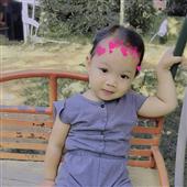 số 