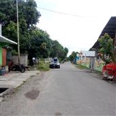 Tăn