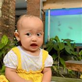 【Bản