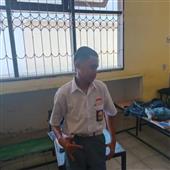 Trực
