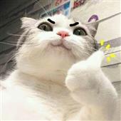 động