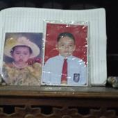 Trự