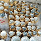 giải