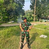 Bản