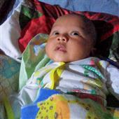 Luật