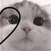 Zeu