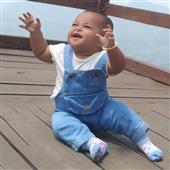 Quyể