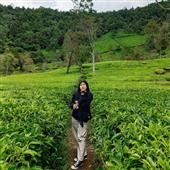 Chỉ