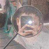 Ngựa