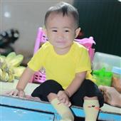 Bầu
