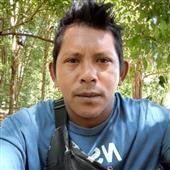 Vươn