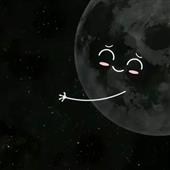LÔ T