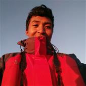 Faer