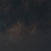 Liên