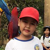 Luậ
