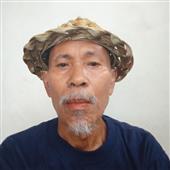 Bài