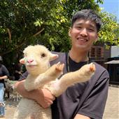 Ngập