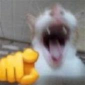 6 m
