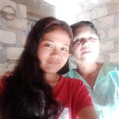 Cung
