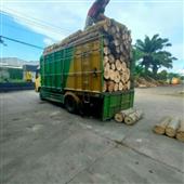 Trái