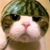 Giải