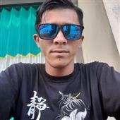 giả