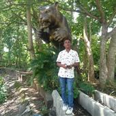 Trự
