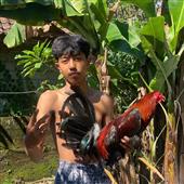 Siêu
