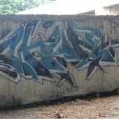 Cung