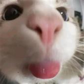 Suga