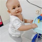 Sức