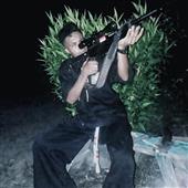 Cung