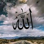 Phim