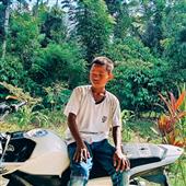 Tiên